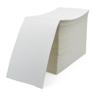 10000299 - Zebra 4" x 6" Z-Perform 2000T Label (Case)