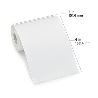 10008424 - ZEBRA 4" X 6" POLYPRO 4000T LABEL (CASE)